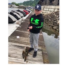 Meet your Posher, Johnny